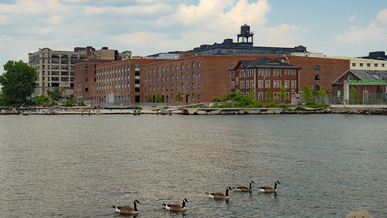 Five geese swim in a calm river with industrial brick buildings and a water tower in the background, under a partly cloudy sky. Five geese swim in a calm river with industrial brick buildings and a water tower in the background, under a partly cloudy sky.