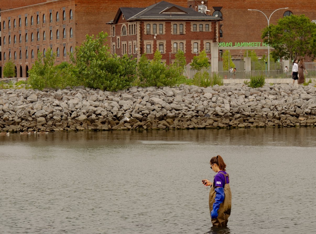 A person in waders stands in shallow water, looking at a device in their hand. Behind them are rocks, green shrubs, and old brick buildings. A green sign in the background reads TERMINAL PARK.